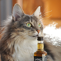 Портрет фотографа (аватар) Дмитрий Писковец (Piskovets)