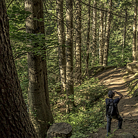 Портрет фотографа (аватар) Rafael Manukyan