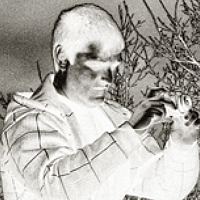 Портрет фотографа (аватар) M.Mestanov