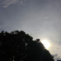 Портрет фотографа (аватар) Nurul Afiqah