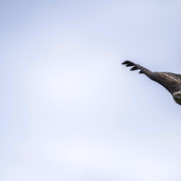 Портрет фотографа (аватар) ZID OMAR (ZID BIN OMAR)