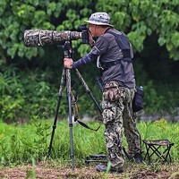 Портрет фотографа (аватар) KC Wong (Kent Wong)