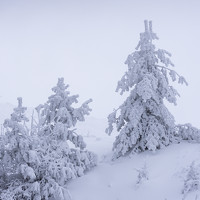 Портрет фотографа (аватар) Петър Димитров