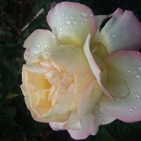 Портрет фотографа (аватар) Индиана Созарукова (indiana  sozarukova)