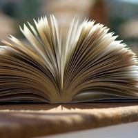 Портрет фотографа (аватар) Svetlana Turbil