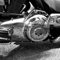 Портрет фотографа (аватар) Jakkie Laas (Jaquin Amerigo Laäs)