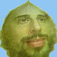 Портрет фотографа (аватар) Andrea Gabrieli