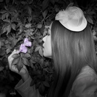 Портрет фотографа (аватар) Catherine Chong