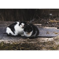 Портрет фотографа (аватар) Станислав Лешкевич (Stanislav Leshkevich)