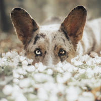 Портрет фотографа (аватар) Мария Калинина (Maria Kalinina)