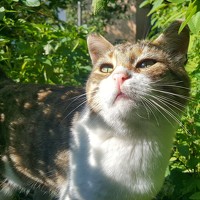 Портрет фотографа (аватар) Владимир Марашев (Vladimir Marashev)