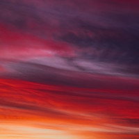 Портрет фотографа (аватар) Ovidiu Domşa