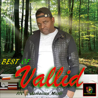 Портрет фотографа (аватар) Wilstein Murray