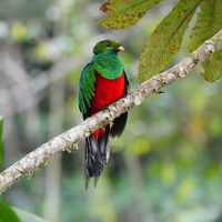 Портрет фотографа (аватар) Marcela Gonzalez