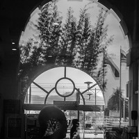 Портрет фотографа (аватар) Francis Ganesan Muthiriyar Sonthanasamy (Francis Ganesan Muthiriyar Sonth)