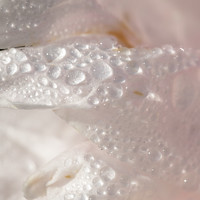 Портрет фотографа (аватар) Любовь Тернова (Lyubov Ternova)