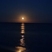 Портрет фотографа (аватар) Kremena Dimova