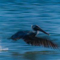 Портрет фотографа (аватар) Wolf Ralf