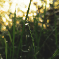 Портрет фотографа (аватар) СВЕТЛАНА