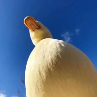 Портрет фотографа (аватар) 岳霜眠