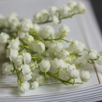 Портрет фотографа (аватар) Anna Gapanovich