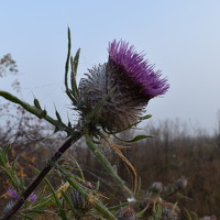 Портрет фотографа (аватар) Ольга Кретинина (Olga Kretinina)
