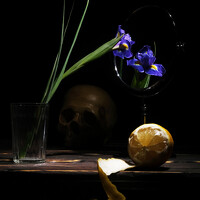 Мартынов Тим - фотограф