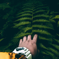 Портрет фотографа (аватар) Pavel Reshetov