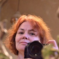 Портрет фотографа (аватар) Елена Коптева (Elena Kopteva)