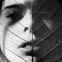 Портрет фотографа (аватар) Anna Tarabrina