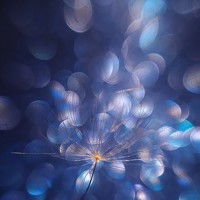 Портрет фотографа (аватар) Gloomy.27