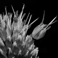 Портрет фотографа (аватар) Екатерина Орлова (Kathy Orlova)