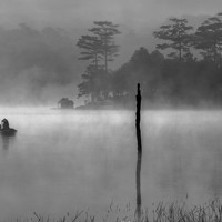 Портрет фотографа (аватар) Thái Võ (Võ Quốc Thái)