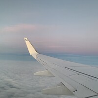 Портрет фотографа (аватар) Ольга Миш (Olga Mish)