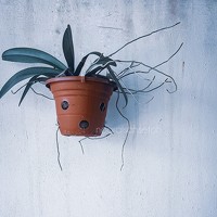 Портрет фотографа (аватар) Nooraisah Setoh (Nooraisah Binti Setoh)