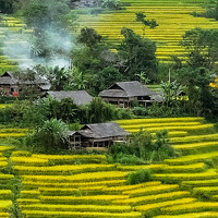 Портрет фотографа (аватар) Đặng Tú (Đặng Văn Tú)