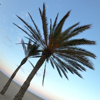 Портрет фотографа (аватар) Iliyan Iliev (Илиян Илиев)