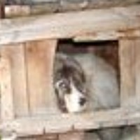 Портрет фотографа (аватар) beze