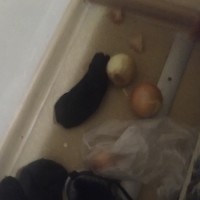 Портрет фотографа (аватар) Павел Власенко (Pavel Vlasenko)