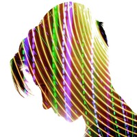 Портрет фотографа (аватар) Galina Gordeeva