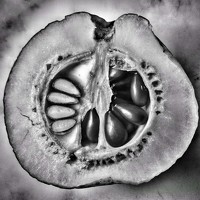 Портрет фотографа (аватар) Ксения Козлова (Kseniia Kozlova)