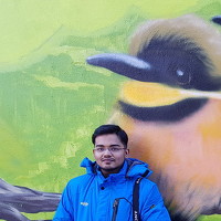 Портрет фотографа (аватар) Dipanjan Pal