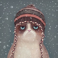 Портрет фотографа (аватар) Alex G