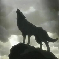 Портрет фотографа (аватар) Sower