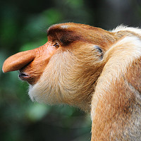 Портрет фотографа (аватар) Андрей Болдырев