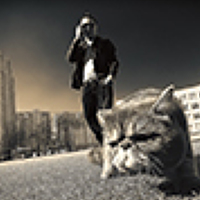 Портрет фотографа (аватар) Антон Богданов (Anton Bogdanov)