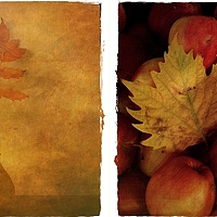 Портрет фотографа (аватар) Yani Ralev