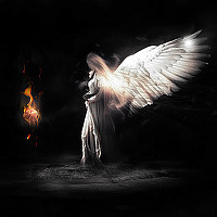 Портрет фотографа (аватар) Angel