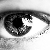 Портрет фотографа (аватар) Dmitry Niko (Dmitry Nikolaienko)