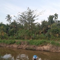 Портрет фотографа (аватар) Kamarul Bahrain (Kamarul bahrain bin abd kadir)